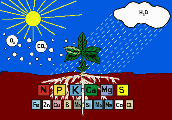 告急！我国一半的土壤中缺微量元素！别再只上氮磷钾了